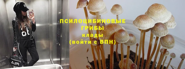 гашик Аркадак