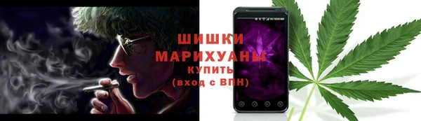 ПСИЛОЦИБИНОВЫЕ ГРИБЫ Арсеньев